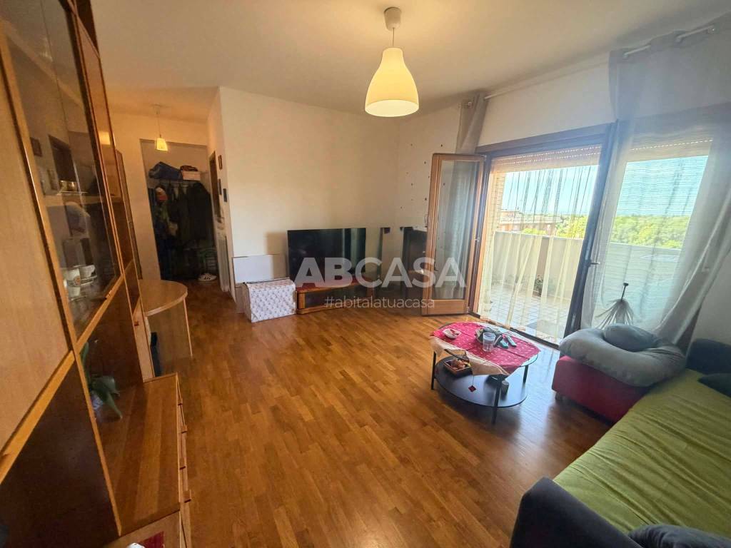 appartamento in affitto a Velletri