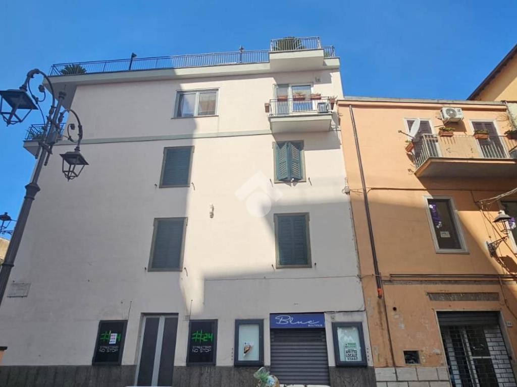 negozio in affitto a Velletri