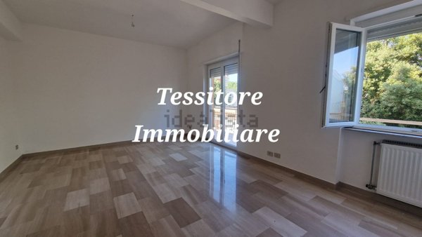 appartamento in affitto a Velletri