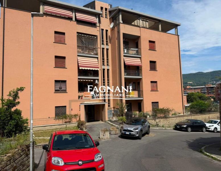 appartamento in affitto a Velletri