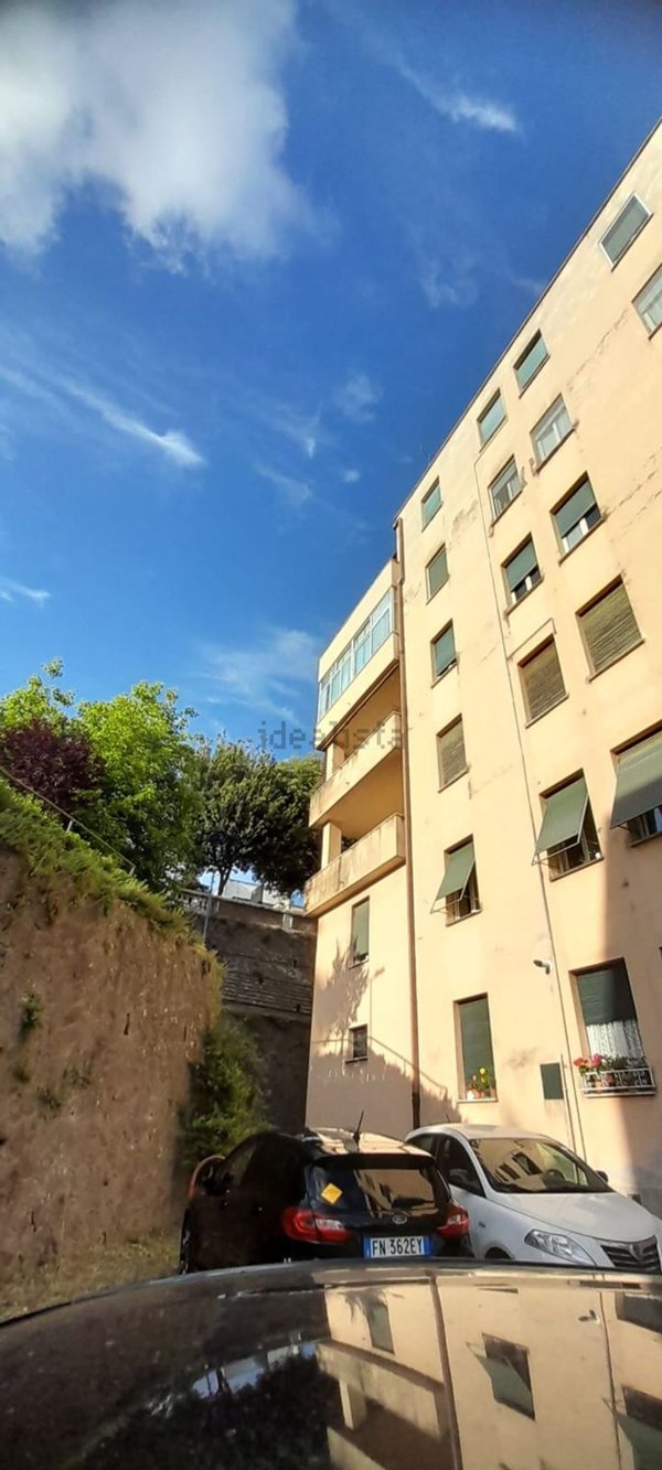 appartamento in affitto a Velletri