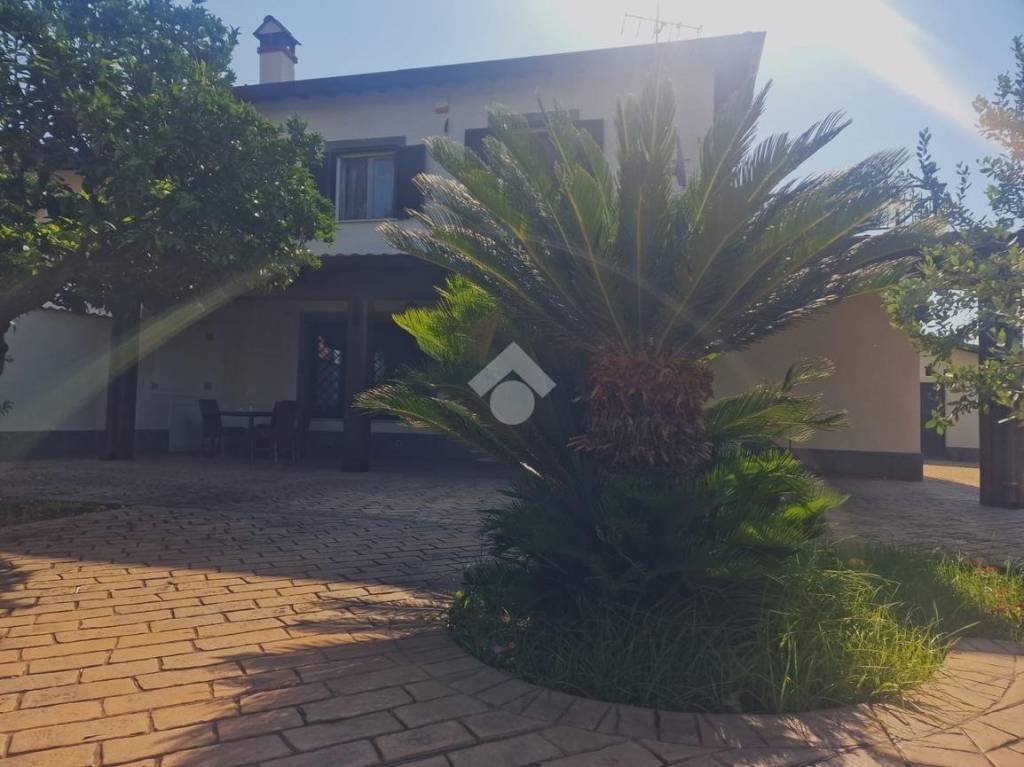 casa indipendente in affitto a Velletri