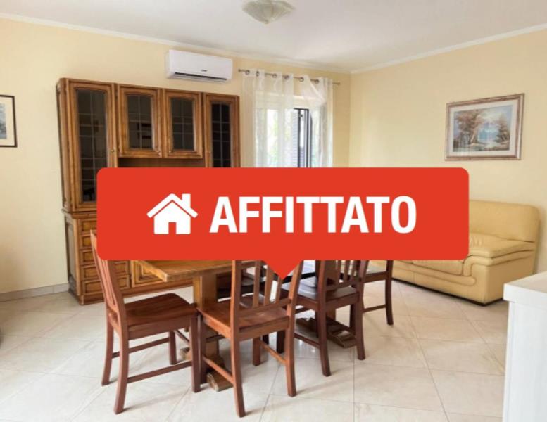 appartamento in affitto a Velletri