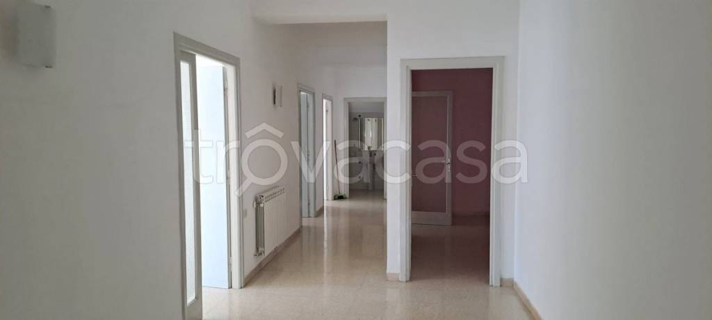 appartamento in affitto a Velletri