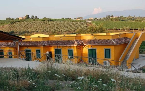 appartamento in affitto a Velletri