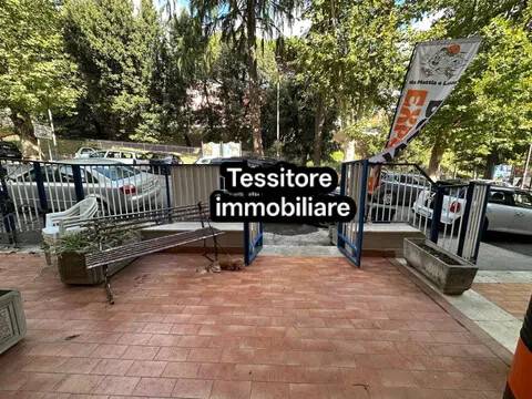 negozio in affitto a Velletri