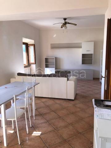 appartamento in affitto a Zagarolo