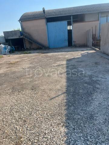 locale commerciale in affitto a Zagarolo