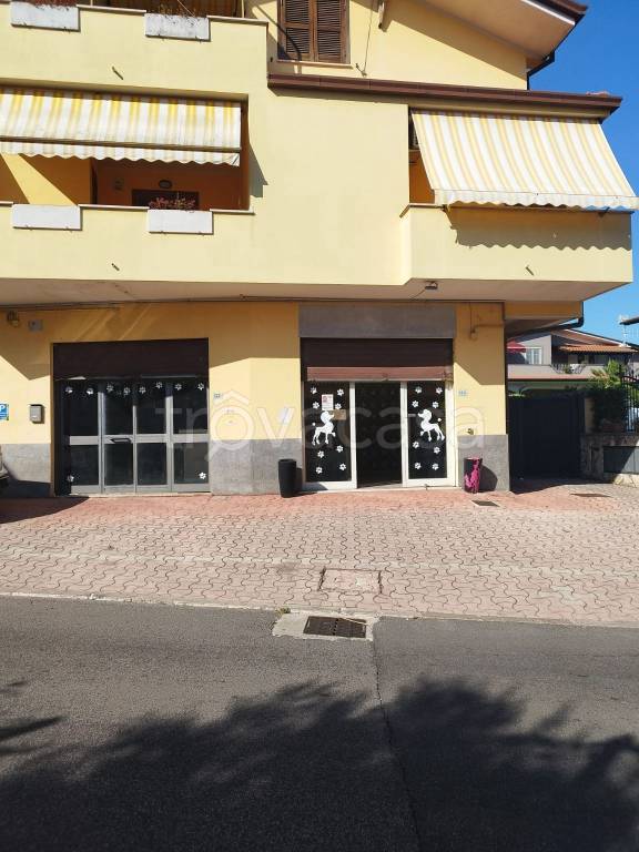 quadrivano in affitto a Lariano