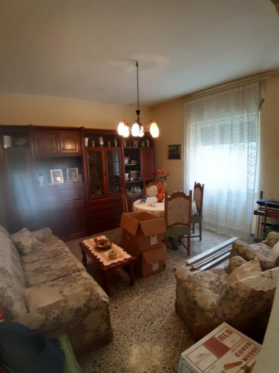 appartamento in affitto a Ladispoli