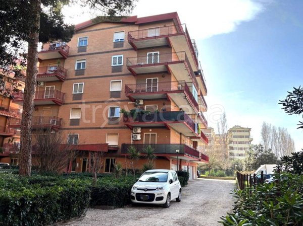 appartamento in affitto a Ladispoli