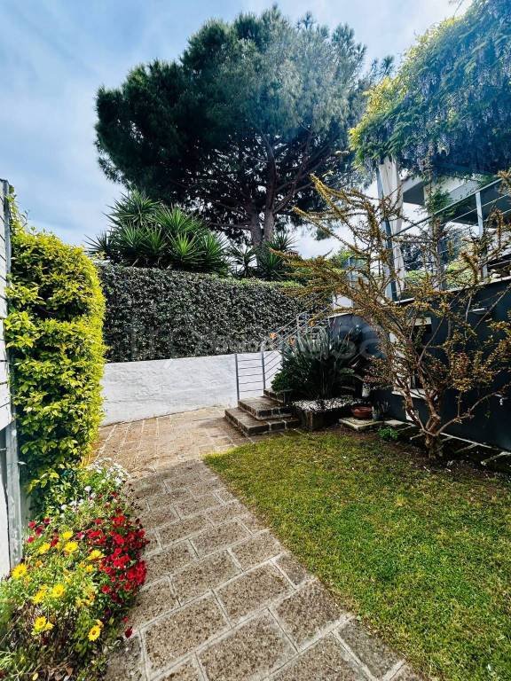 casa indipendente in affitto a Ladispoli