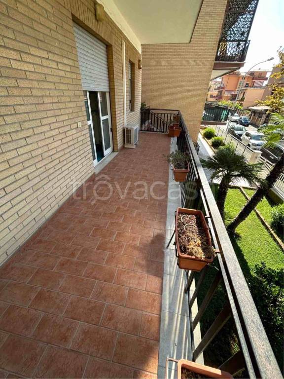 appartamento in affitto a Ladispoli