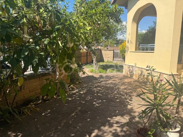 casa indipendente in affitto a Ladispoli