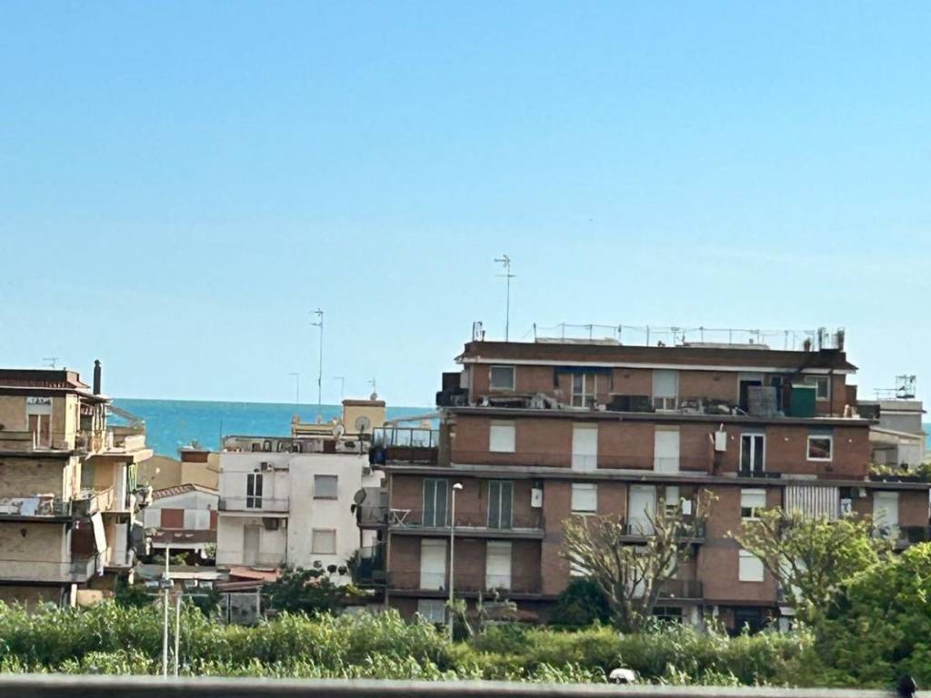 appartamento in affitto a Ladispoli