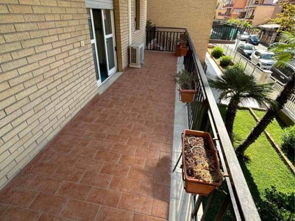 appartamento in affitto a Ladispoli