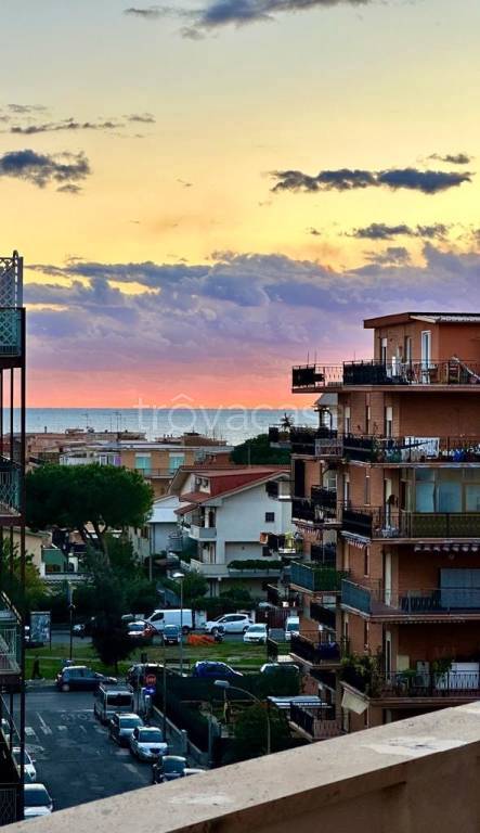 appartamento in affitto a Ladispoli