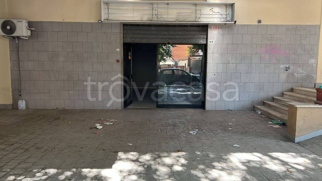 appartamento in affitto a Ladispoli