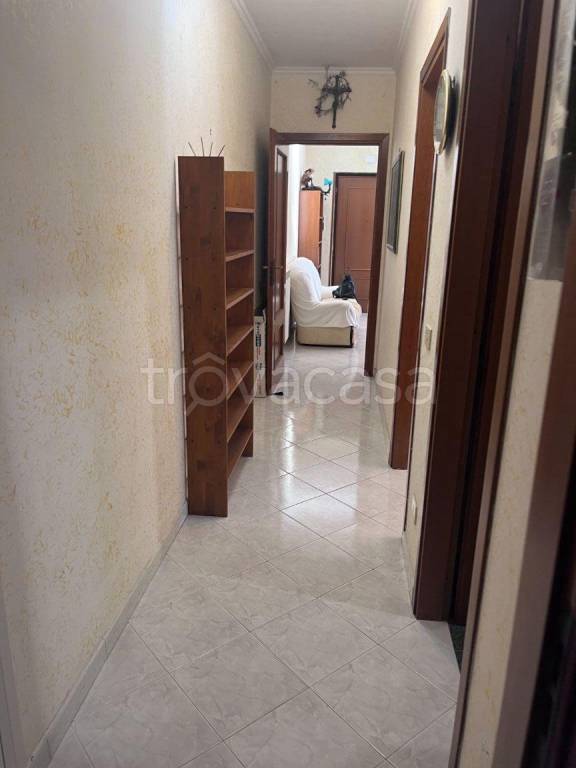 appartamento in affitto a Ladispoli