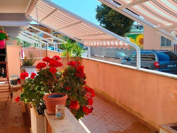 appartamento in affitto a Ladispoli