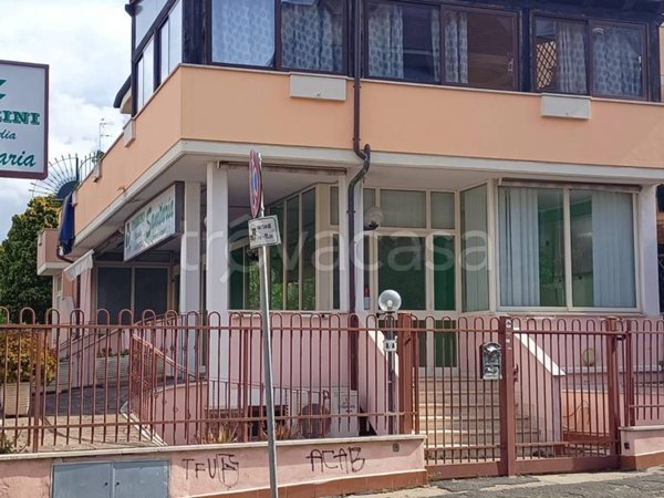 negozio in affitto a Ladispoli