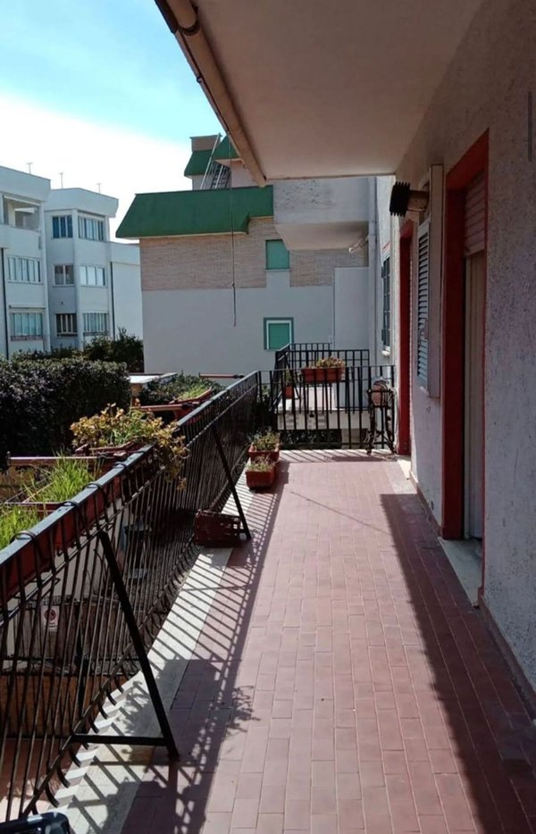 appartamento in affitto a Ladispoli