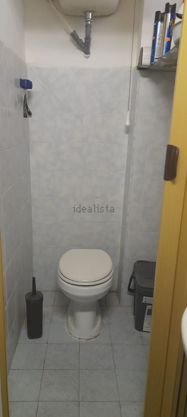 loft in affitto a Ladispoli