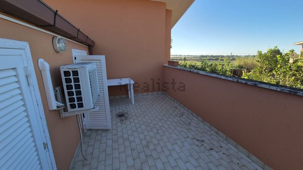 casa indipendente in affitto a Ladispoli