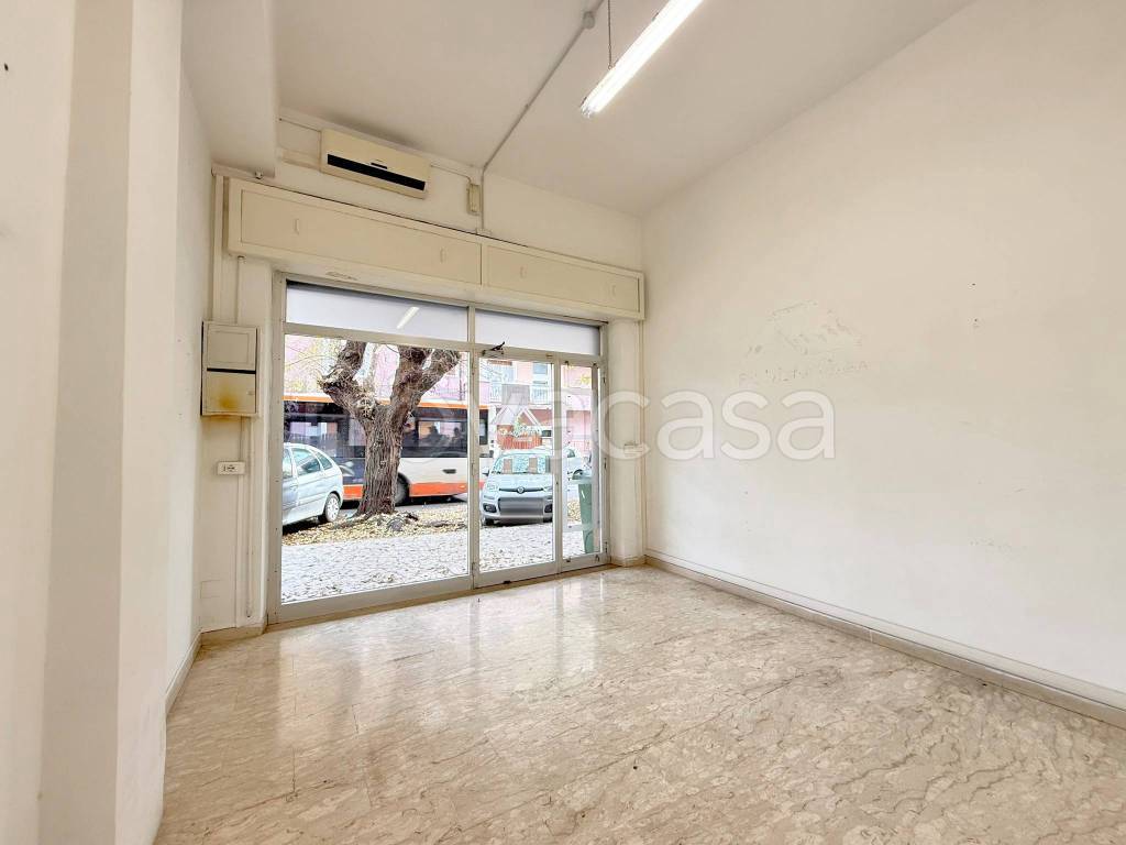 negozio in affitto a Ladispoli