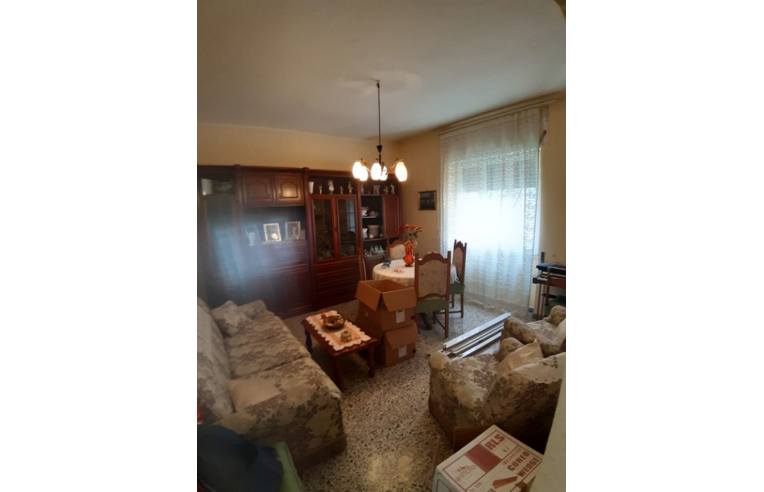 appartamento in affitto a Ladispoli