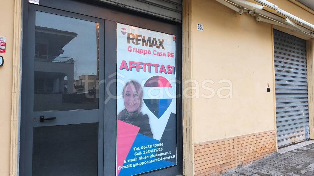 negozio in affitto a Ladispoli