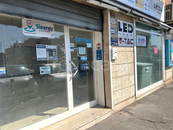 negozio in affitto a Ladispoli