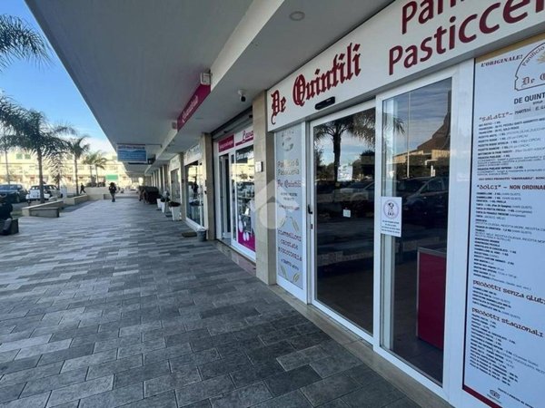 appartamento in affitto a Ladispoli