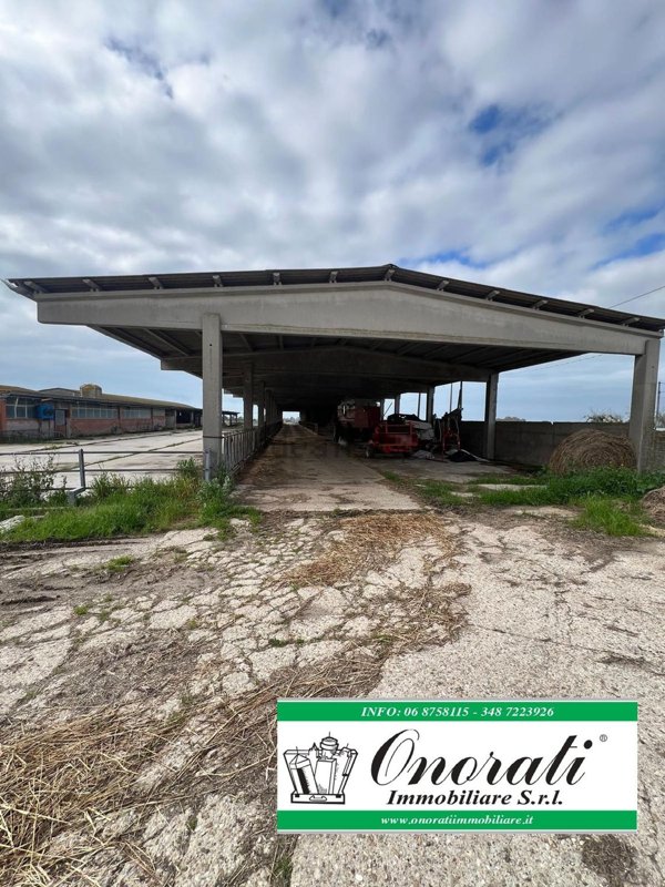 locale di sgombero in affitto a Ladispoli