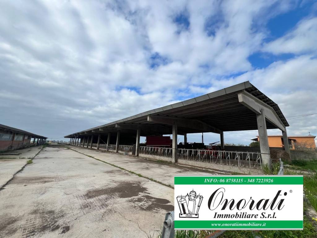 locale di sgombero in affitto a Ladispoli