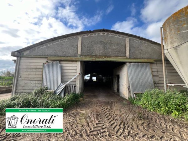 locale commerciale in affitto a Ladispoli