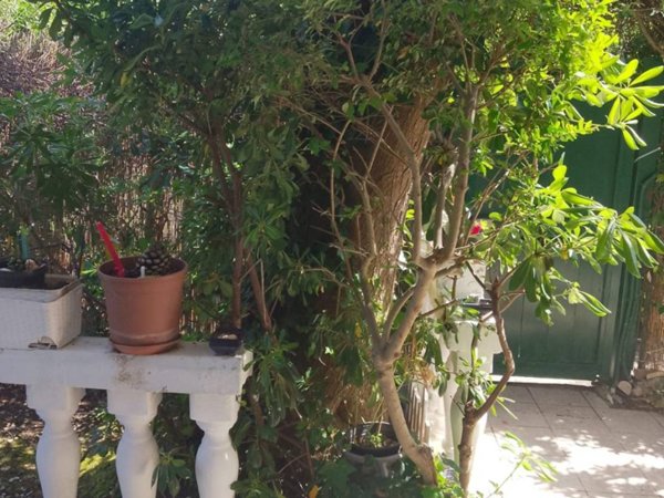 casa indipendente in affitto a Ladispoli in zona Marina di San Nicola