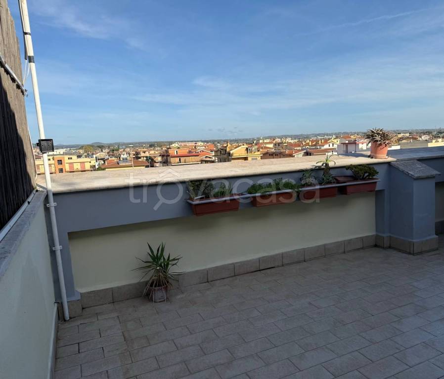 appartamento in affitto a Ladispoli