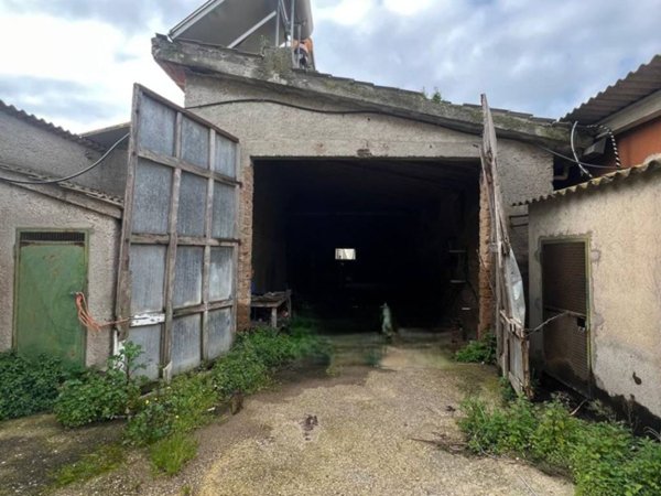locale di sgombero in affitto a Ladispoli