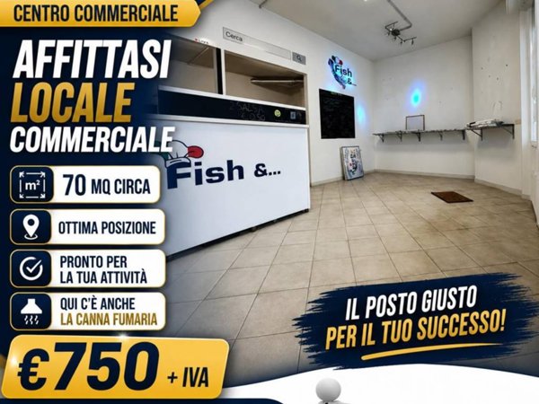 negozio in affitto a Ladispoli
