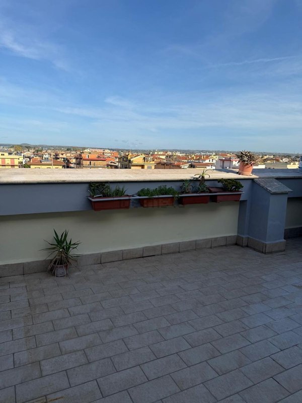 appartamento in affitto a Ladispoli