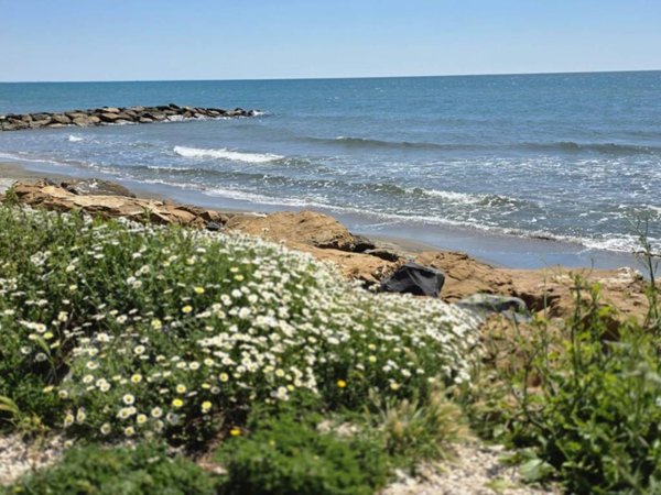 appartamento in affitto a Ladispoli