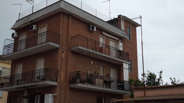 appartamento in affitto a Ladispoli