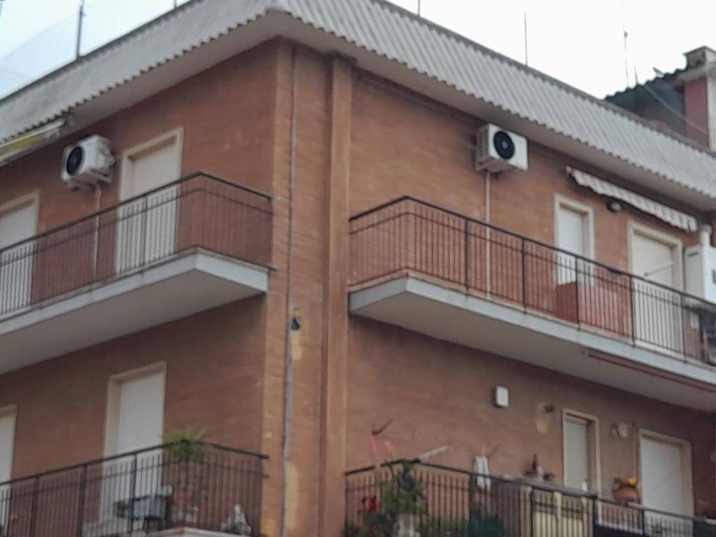 appartamento in affitto a Ladispoli