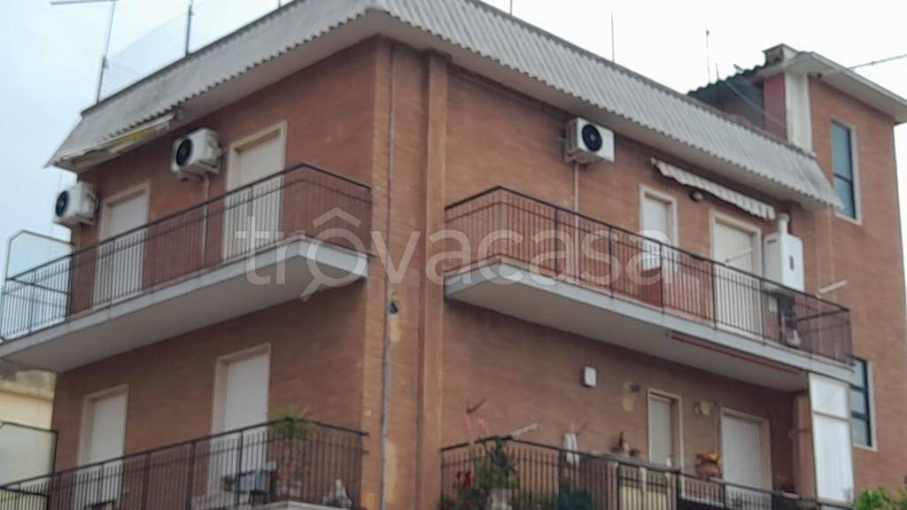 appartamento in affitto a Ladispoli