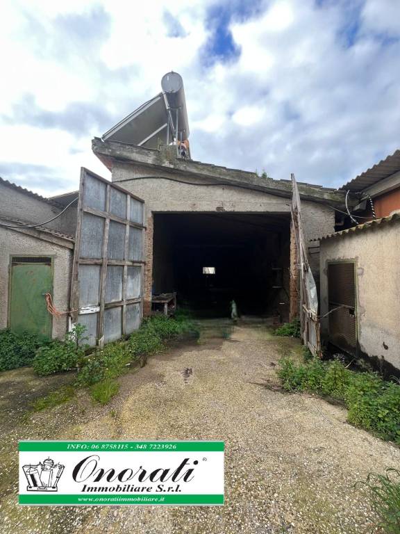locale di sgombero in affitto a Ladispoli