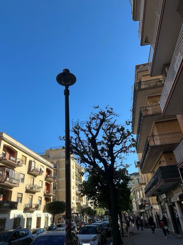 negozio in affitto a Ladispoli