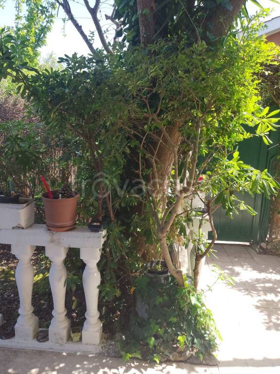 casa indipendente in affitto a Ladispoli in zona Marina di San Nicola