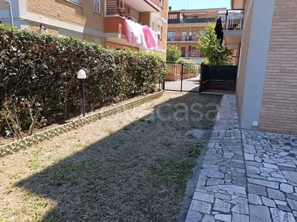 appartamento in affitto a Ladispoli