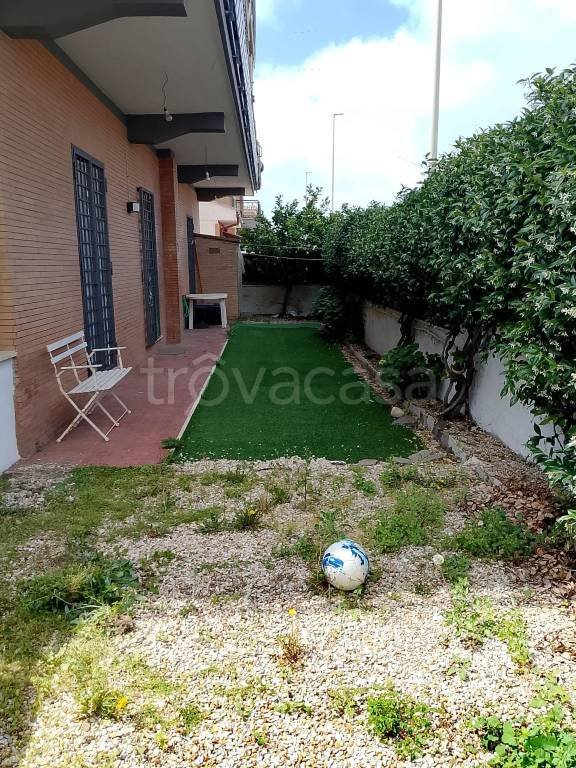 appartamento in affitto a Ladispoli